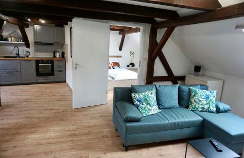 Wohlfühl-Oase in der Altstadt mit Wifi, XL Badewanne, voll ausgestatteter Küche, Hunde ohne Aufpreis, 17 min zur Messe, 3 min zum Schloss - Foto 11