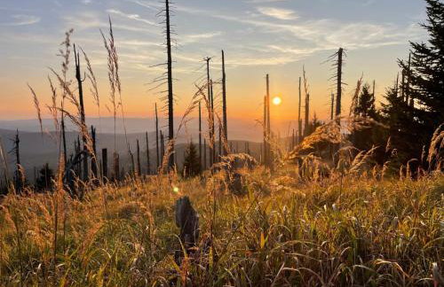 Apartment Landhaus Wildfeuer by Interhome - Foto 48