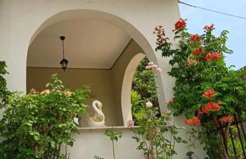 Olympos Philoxenia, μεταξύ βουνού και θάλασσας - Foto 1