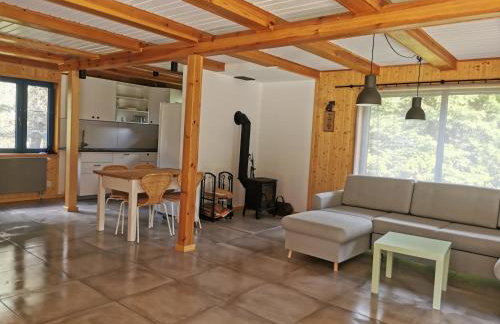 Leśne Wspomnienia - Foto 8