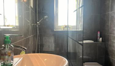 MyHome Einsiedel an der Zwönitz 1 - Foto 5, Shower