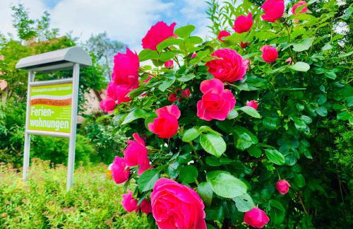 Landhaus Staffelstein - Foto 33