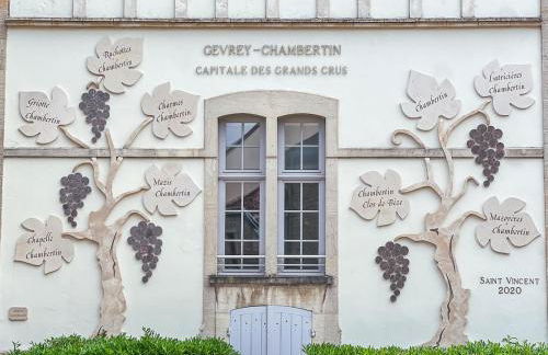 Escapade Chambertine au cœur de Gevrey-Chambertin - Foto 30