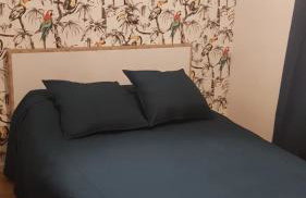 Maison sud des Landes proche Seignosse/ Capbreton / Soustons - Foto 24