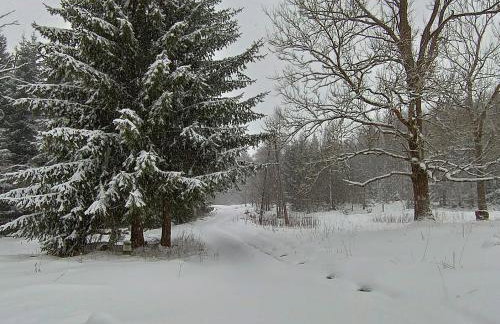 Strażnica Pod Lasem - Foto 71