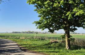 Ferienhaus Dörpblick - Foto 44