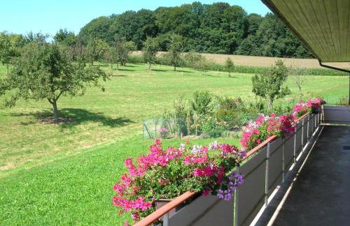 Fewo Siglinde Schneider - Foto 23