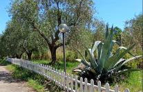 Villa Celestina, a 10 minuti dalle Terme - Foto 30