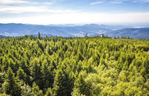 Design-Apartment Modern Times- zentral & ruhig - Foto 31