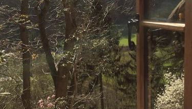 Mellow Mountain Eco Retreat Wales Hot-Tub Sauna - Foto 2