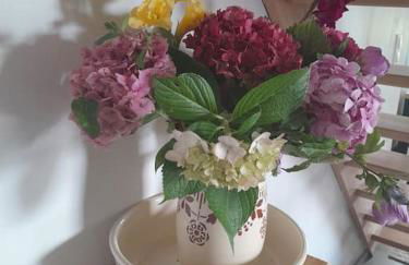 Gîte tante Jeanne - Foto 40