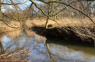 Ferienwohnung am Waldrand mit Sauna - Foto 26