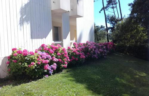 Location d Armelle - Moliets - Foto 56