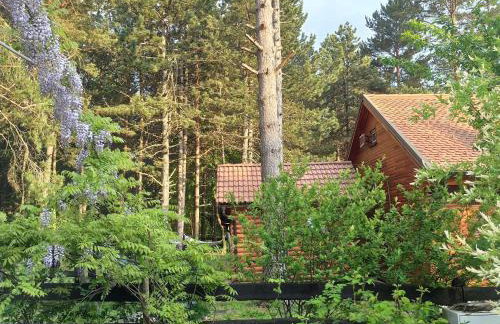 Holiday Home Berghütte Rural escape Chalet by Interhome - Foto 21