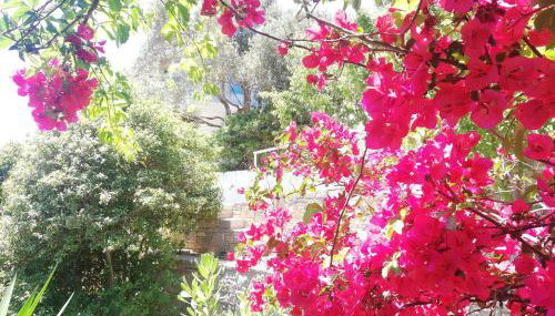 Apartments Jota - Foto 2