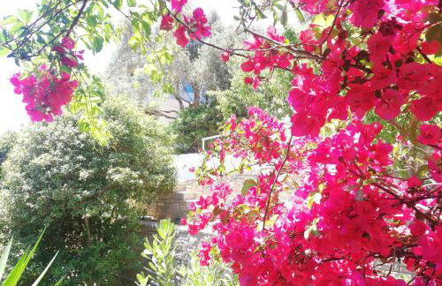 Apartments Jota - Foto 2