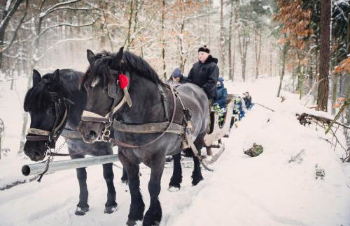 Domek Na Gwizdówce " u KARGULA" - KASZUBY - Foto 26
