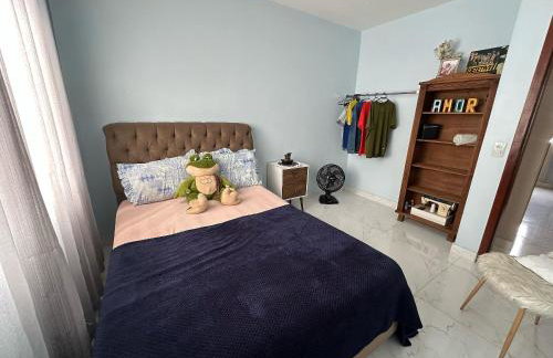 Apartamento Aconchegante Central (Borboleta) - Foto 12