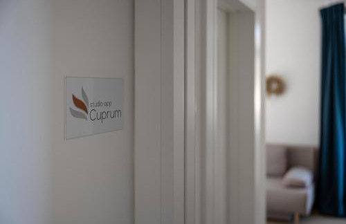 Apartments Pausa - Photo 3