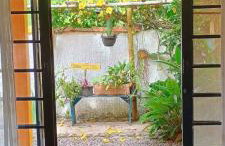 Casa da Flor - Photo 18