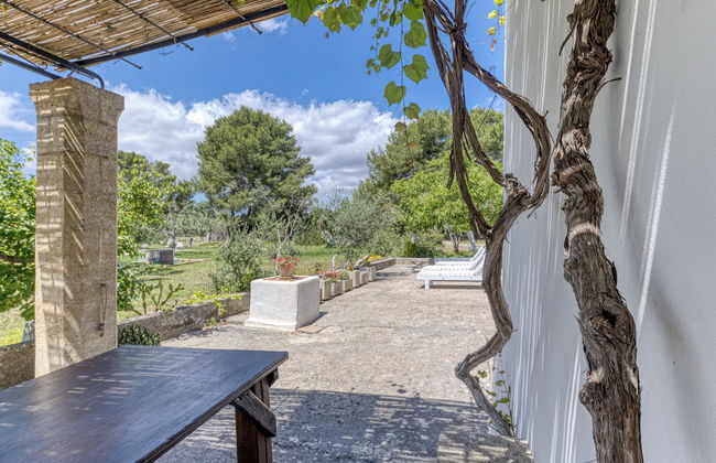 BioMasseria Santa Lucia - Photo 14