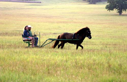 Pet-Friendly Accommodation on a Ranch in McDade, Texas - Foto 14