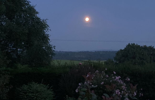 Unique Quirky Studio in Spreyton - Foto 11