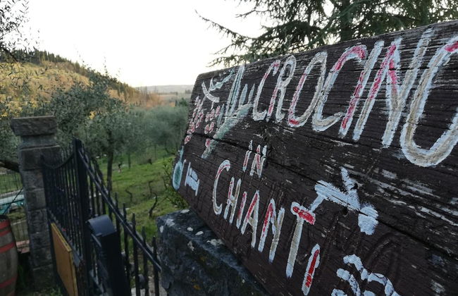 Agriturismo Crocino in Chianti - Foto 39