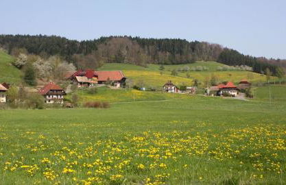 Am Siegelbächle Berg blickt - Foto 28