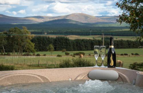 The Eagle's Nest - large house with hot tub and sauna - Foto 2