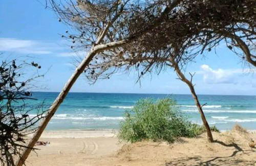 SEA FRONT, Allegria, Santa Maria al Bagno - Foto 20