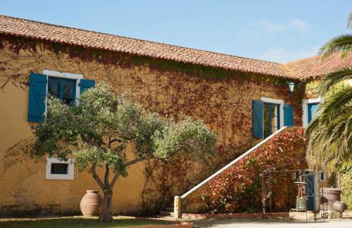 Quinta do Campo - Foto 41