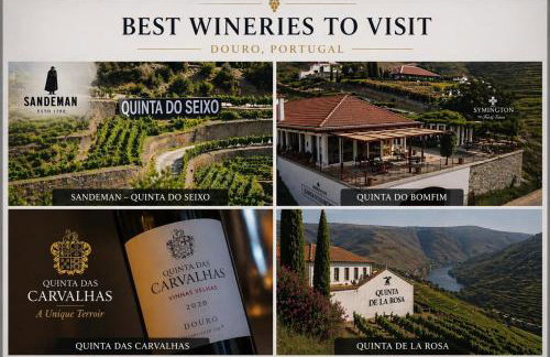 The Douro Nest - Photo 3