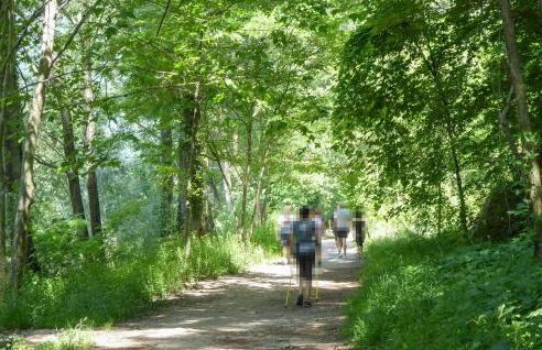 2 Bedroom Awesome Apartment In Sacile - Foto 6