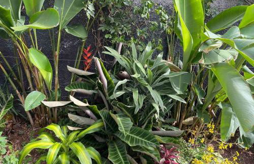 Moradia com piscina no Caniço - Foto 9