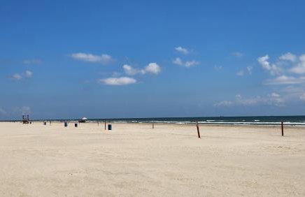 Close To Everything Amazing Kitchen Backyard And Grilling Area - Foto 25