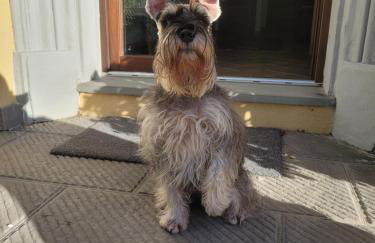 Il Casale Naturart - Foto 40