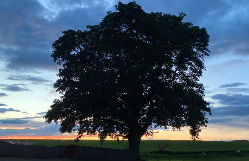 Wee Kirkhill - Photo 39