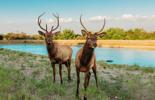 Bent Creek Lodge - Photo 1