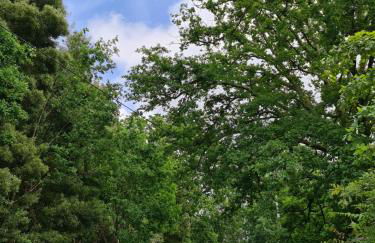 Casa Maria da Eira - Foto 33