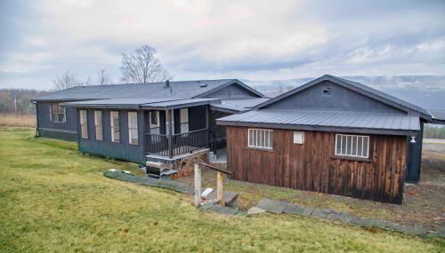 Purple Parrot - Foto 3