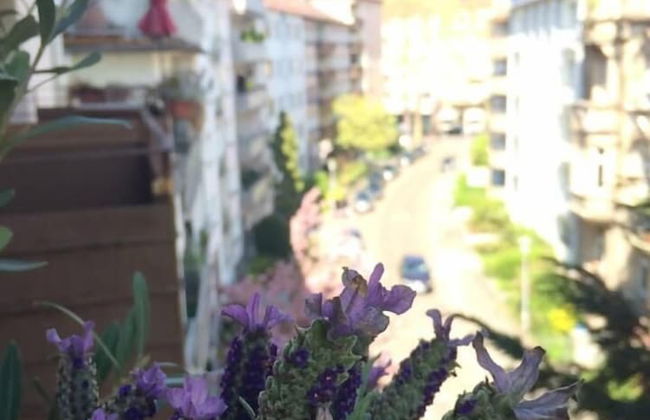 1 bedroom apartment in prime location - Photo 28