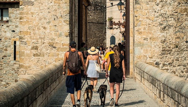 Medieval Three Villages Small Group Day Trip from Barcelona - Photo 3, Visit the charming medieval village of Besalú