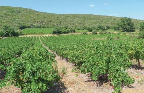 Beautiful Home In Barjac With Wifi - Photo 23