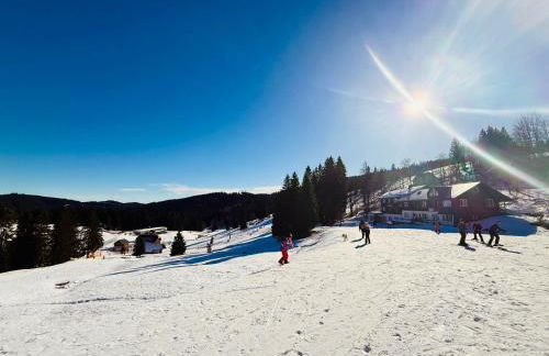 Mitten auf dem Feldberg Panorama Apartment Bergglück - Foto 28