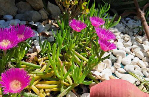 Daniel studio - Foto 11