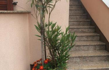 Apartmani Stefano - Foto 12