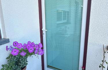 Alojamentos Turísticos São Torcato Moradal Turismo Espaço Rural - Photo 37