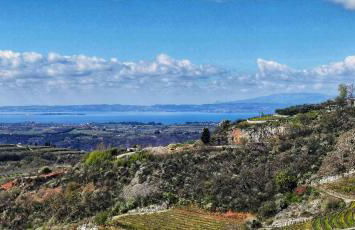 La casa di Lilly - Foto 43