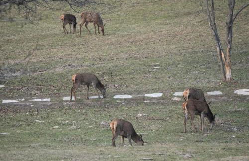 Casa Vacanze Grand-Haury da Andrea 2 - Photo 29